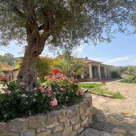 Villa Russo Καλτανισέττα Εξωτερικό φωτογραφία